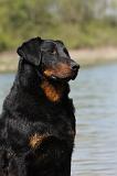 BEAUCERON 649